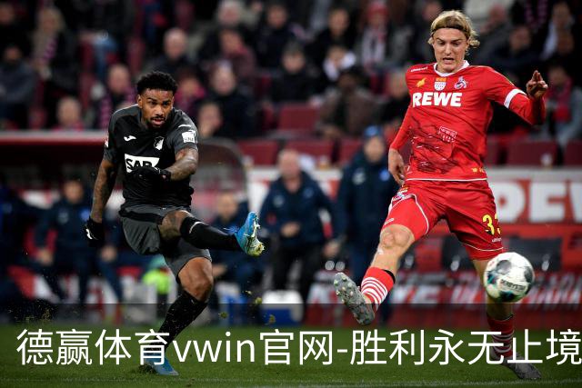 德赢体育vwin官网-胜利永无止境简介